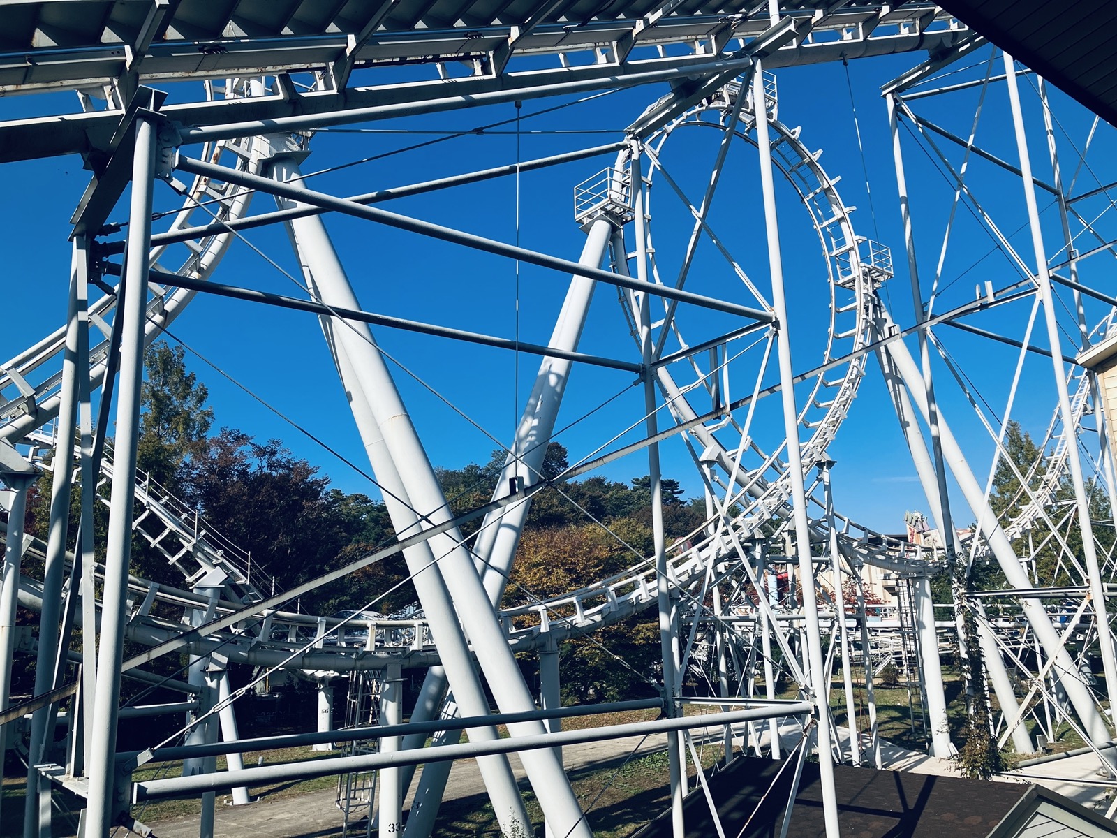 RollingX in Everland
