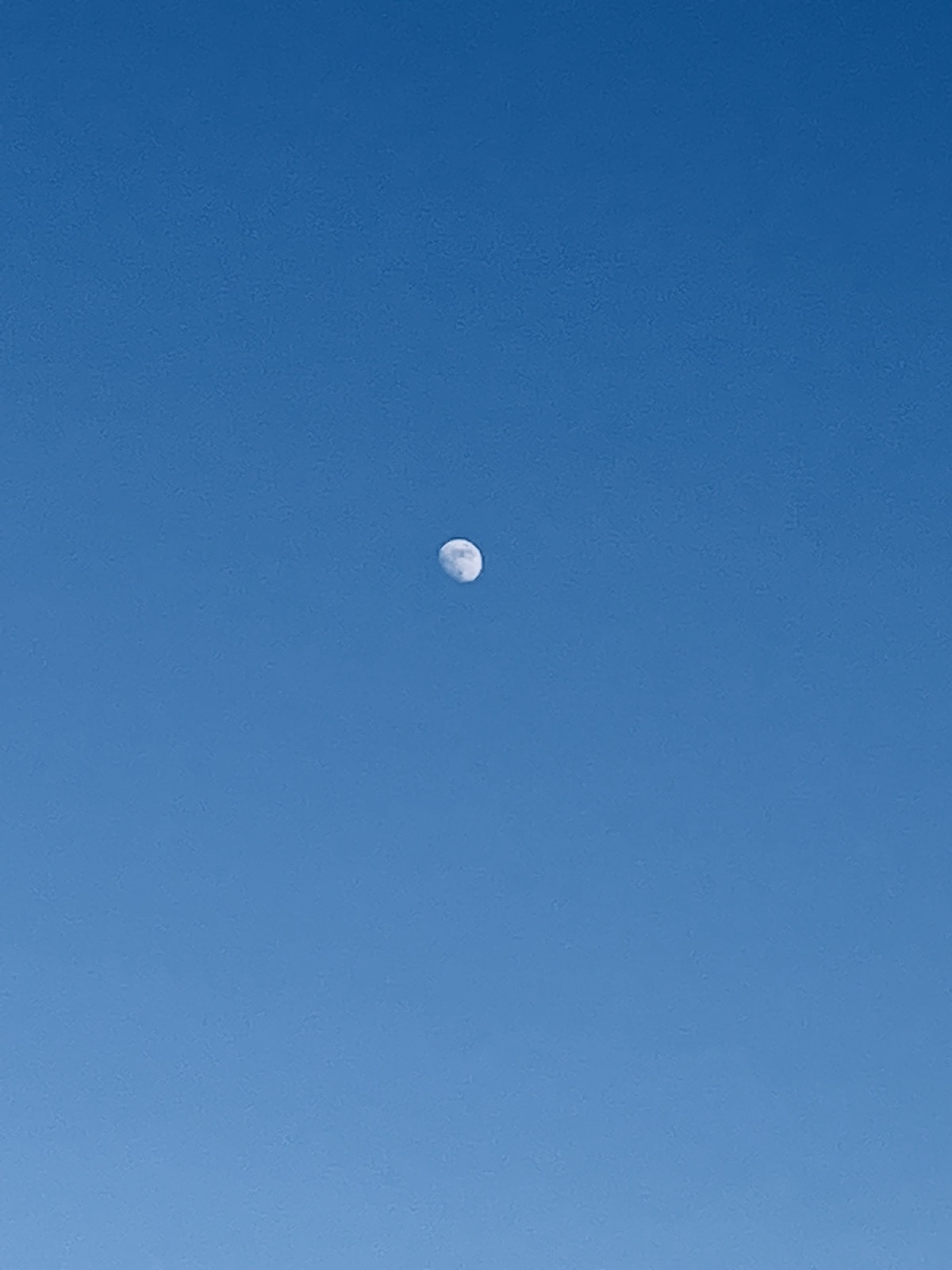 Photo of the Moon