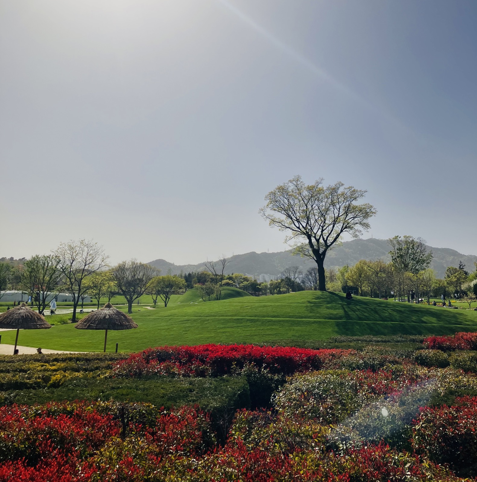 Suncheonman National Garden