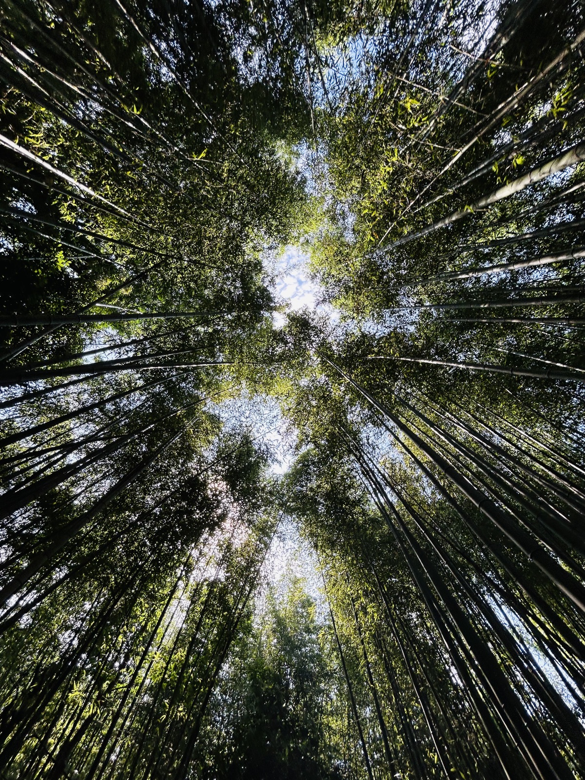 Kyoto, Japan