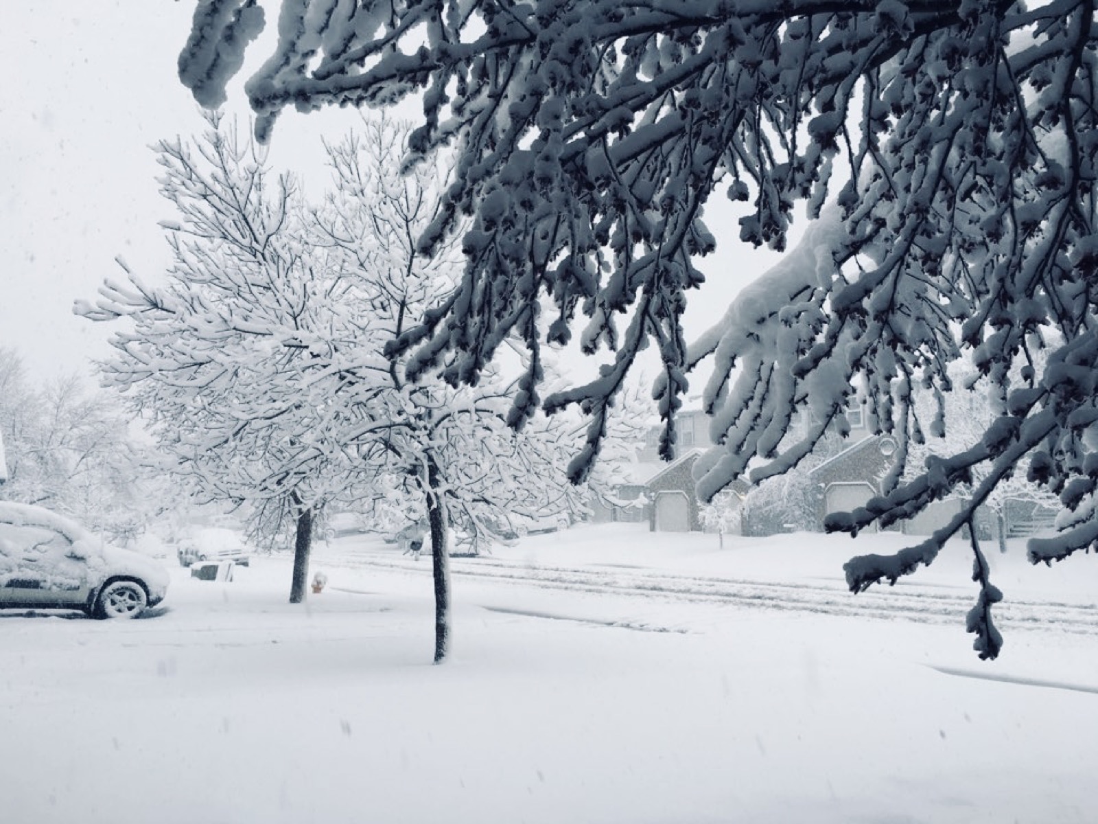 Snow