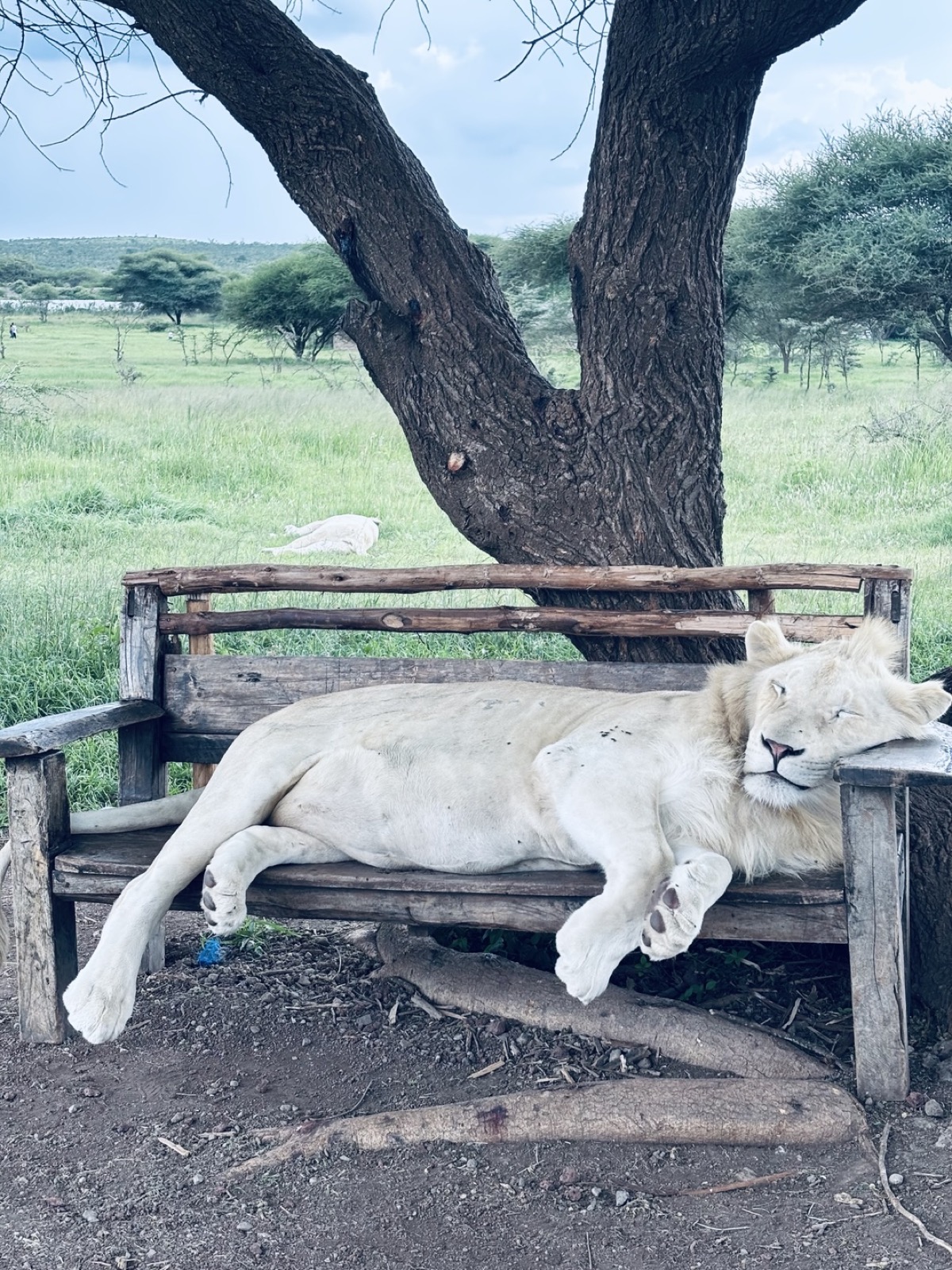 Tanzania